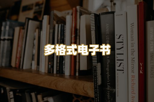 多格式电子书